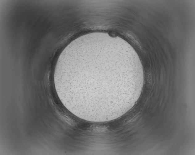 X0000075370491200610061816