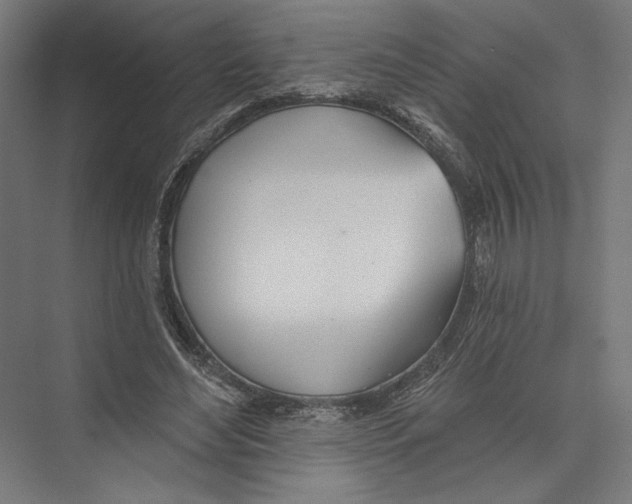 X0000075370492200610061816