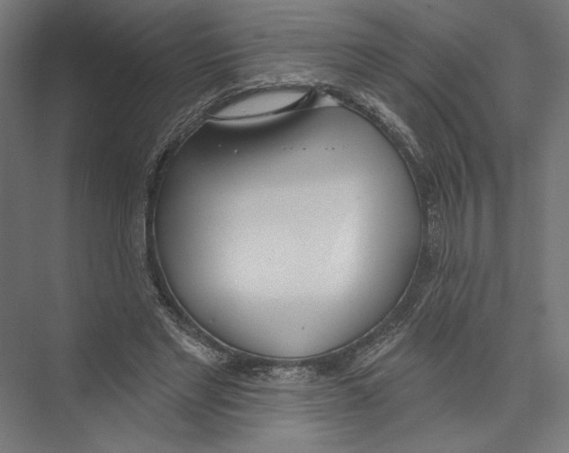 X0000075370493200610061816
