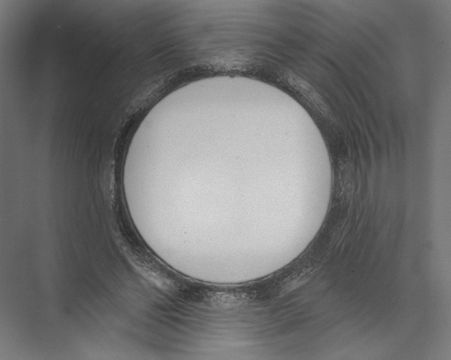 X0000075370494200610061816