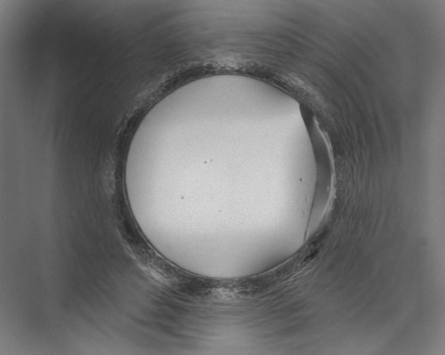 X0000075370496200610061816