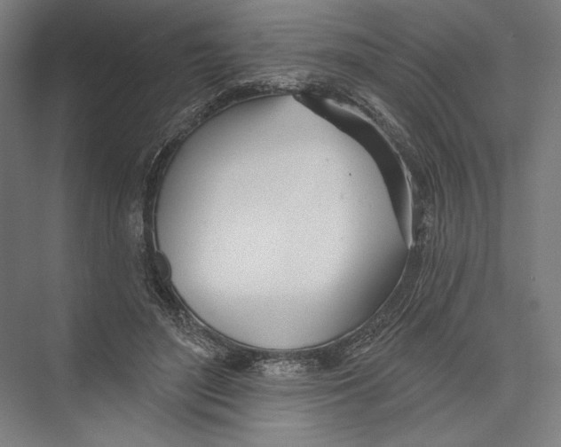 X0000075370500200610061816