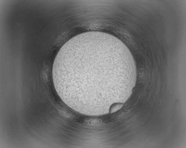 X0000075370503200610061816