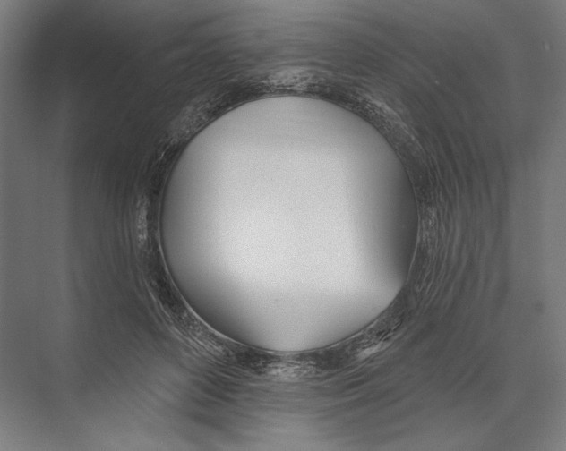 X0000075370504200610061816