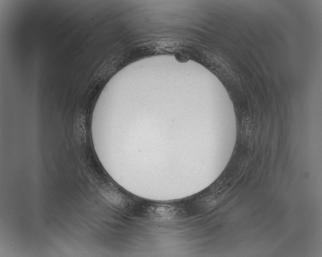 X0000075370506200610061816