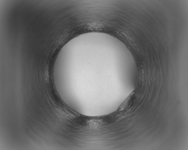 X0000075370508200610061816