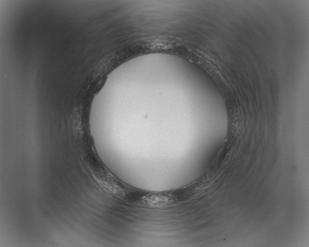 X0000075370512200610061816