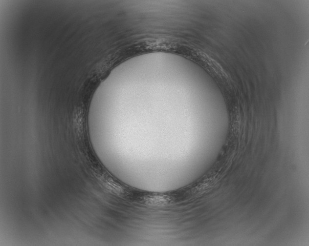 X0000075370513200610061816