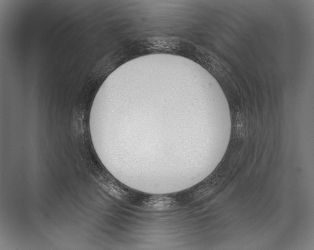 X0000075370514200610061816