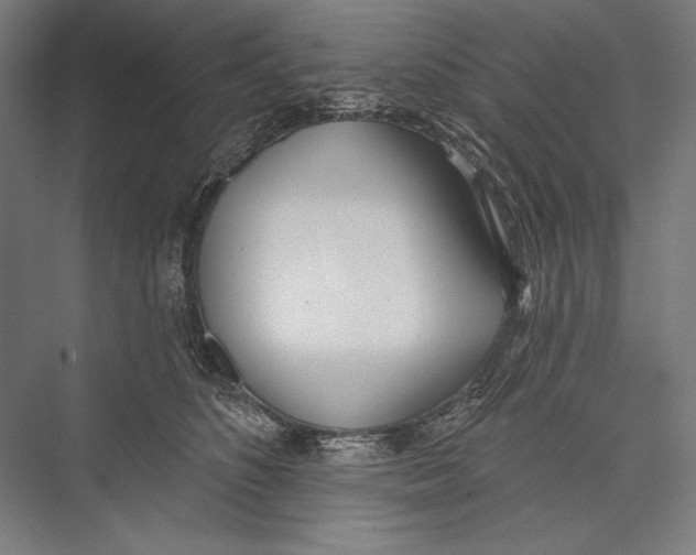 X0000075370516200610061816
