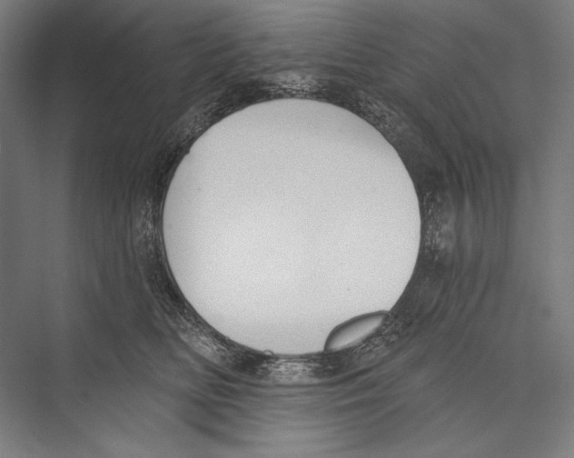 X0000075370518200610061816