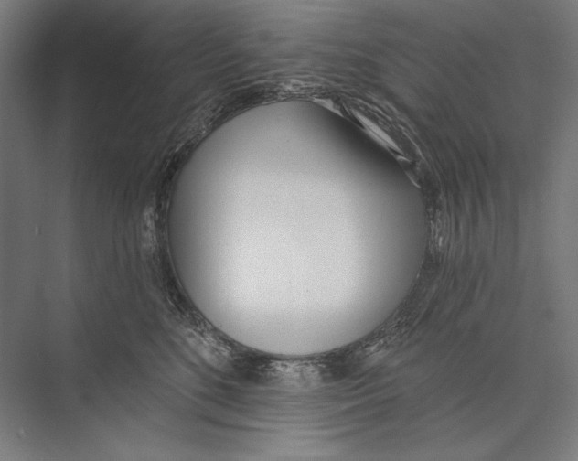 X0000075370520200610061816