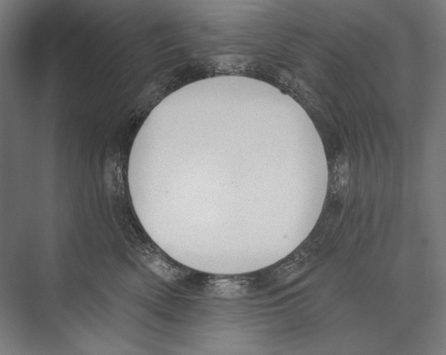 X0000075370522200610061816