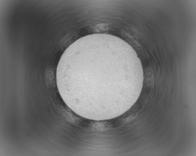 X0000075370523200610061816