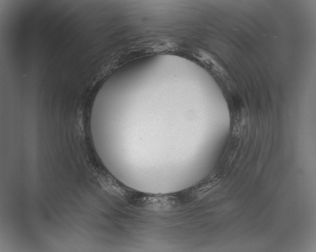 X0000075370524200610061816