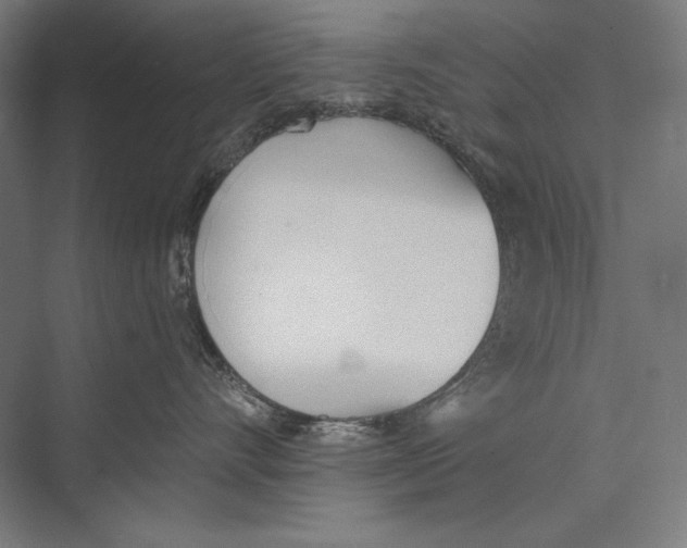 X0000075370528200610061816