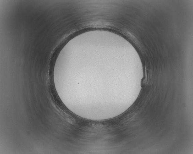 X0000075370531200610061815