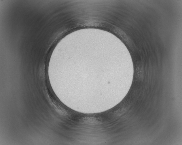 X0000075370534200610061815