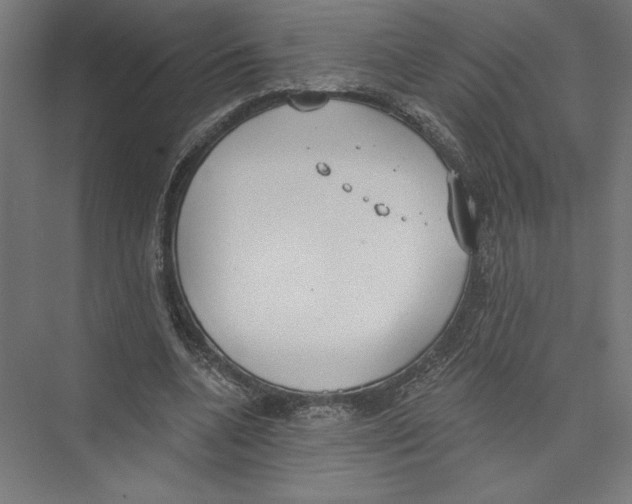 X0000075370536200610061815