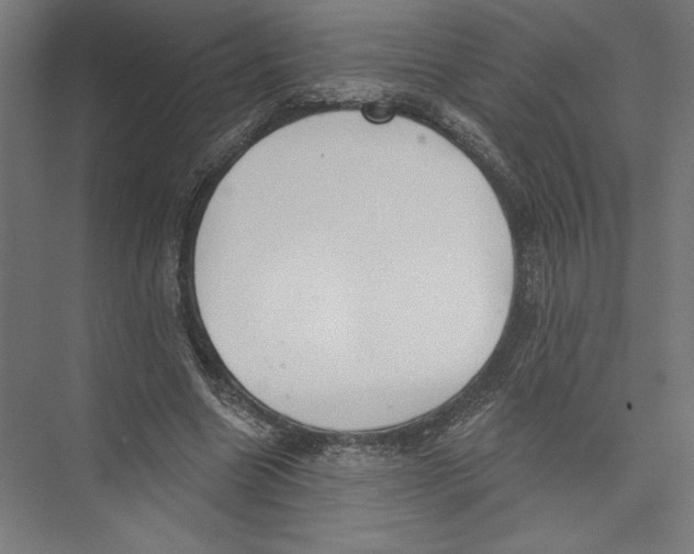 X0000075370538200610061815