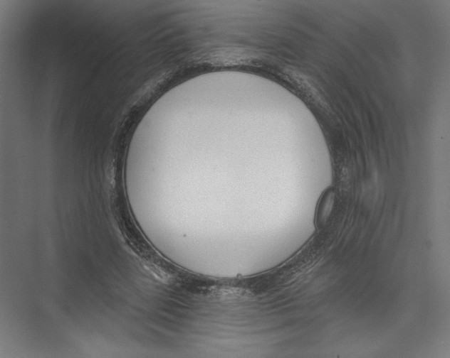 X0000075370539200610061815