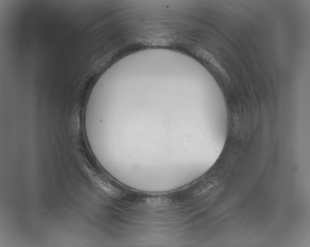 X0000075370541200610061815