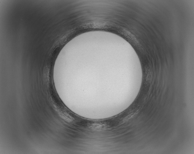 X0000075370542200610061815
