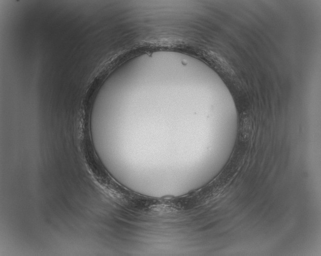 X0000075370544200610061815