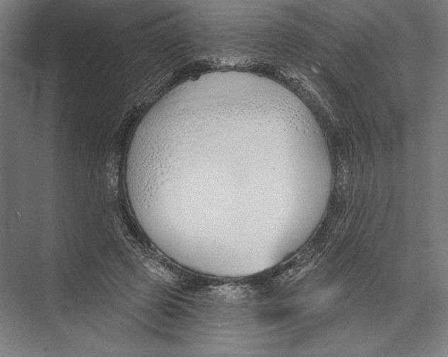 X0000075370545200610061815