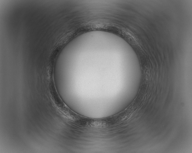 X0000075370546200610061815