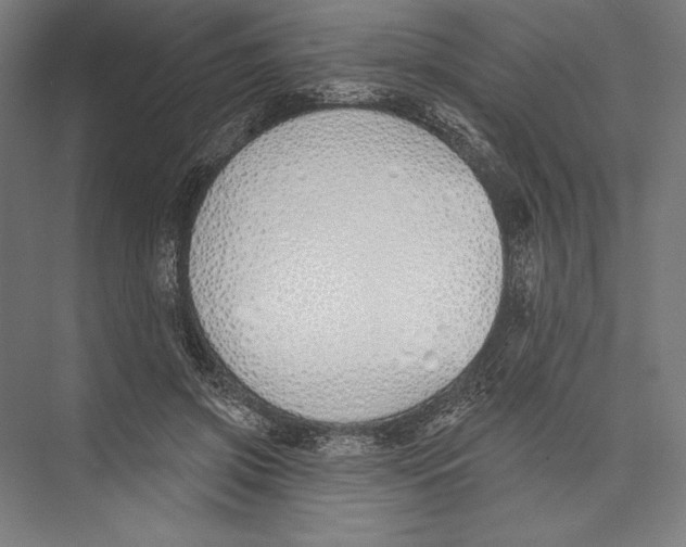 X0000075370549200610061815