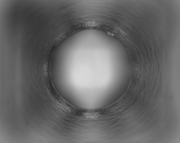 X0000075370556200610061815