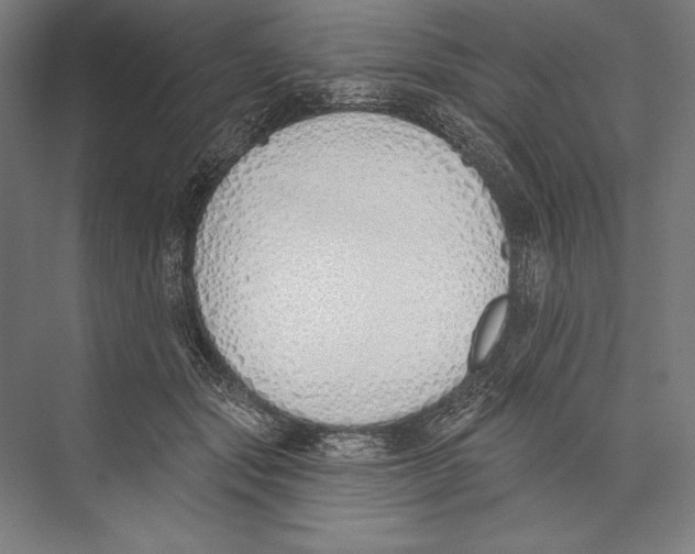 X0000075370557200610061815