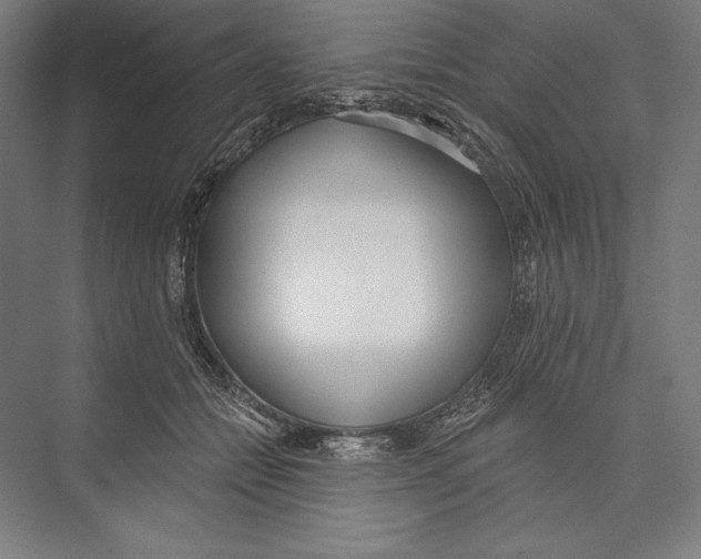 X0000075370558200610061815