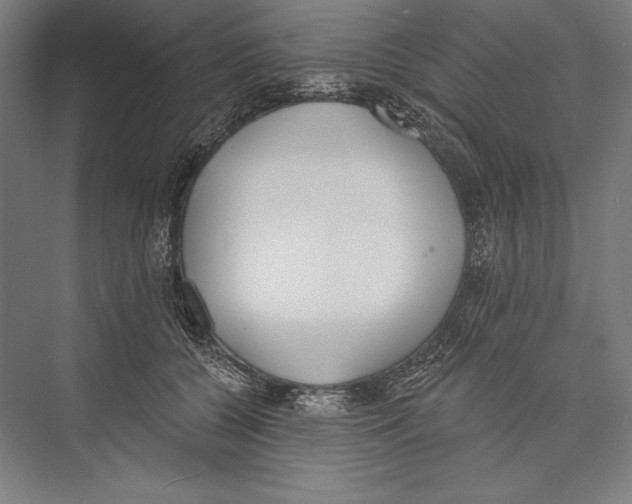 X0000075370560200610061816