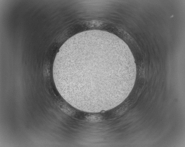 X0000075370561200610061816
