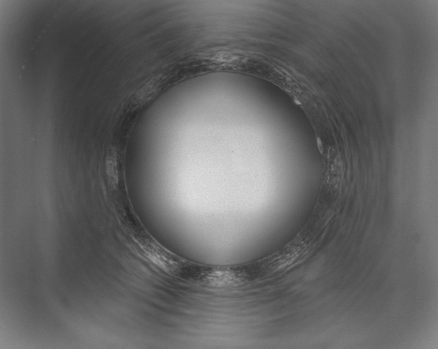 X0000075370562200610061816