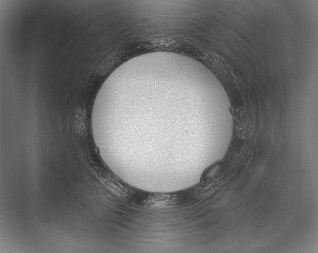 X0000075370563200610061816