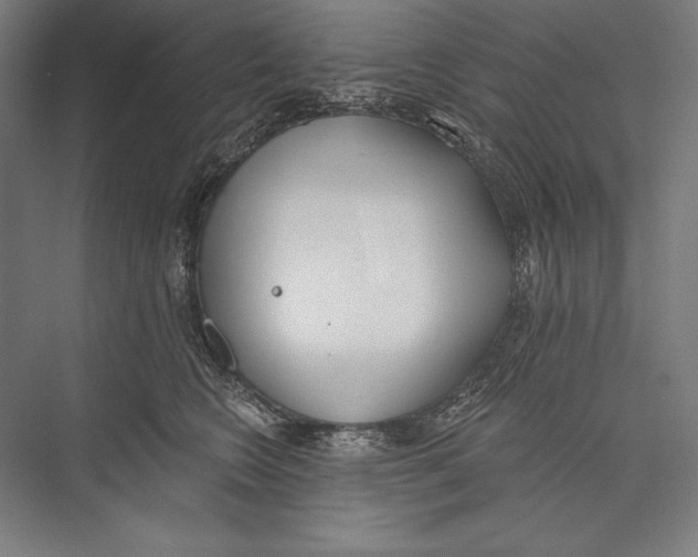 X0000075370566200610061816