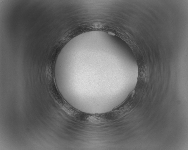 X0000075370568200610061816