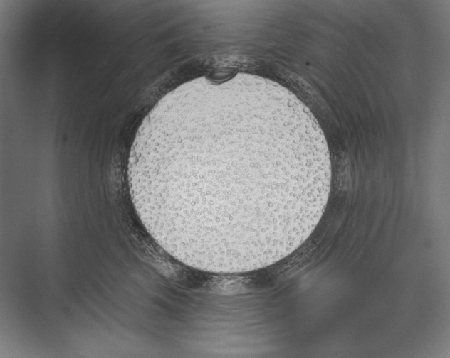 X0000075370569200610061816
