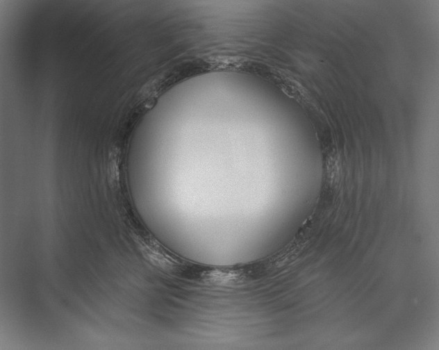 X0000075370570200610061816