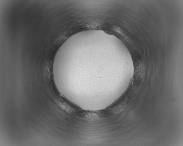 X0000075370572200610061816