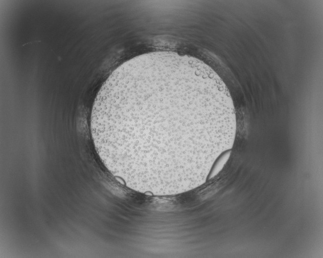 X0000075370573200610061816