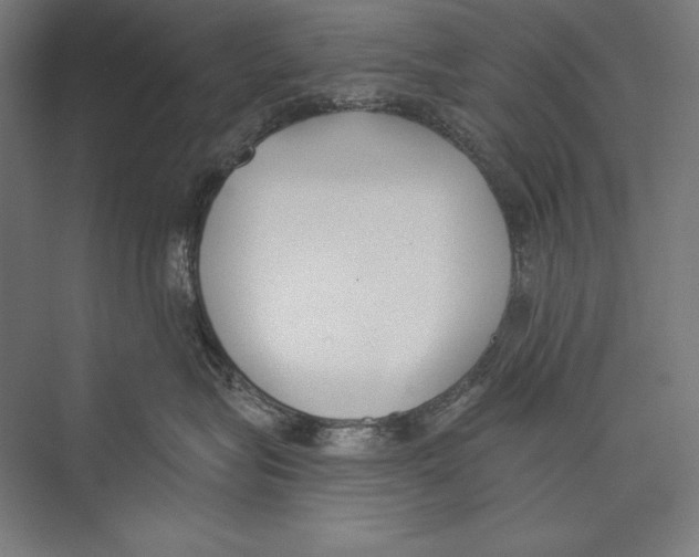 X0000075370575200610061816