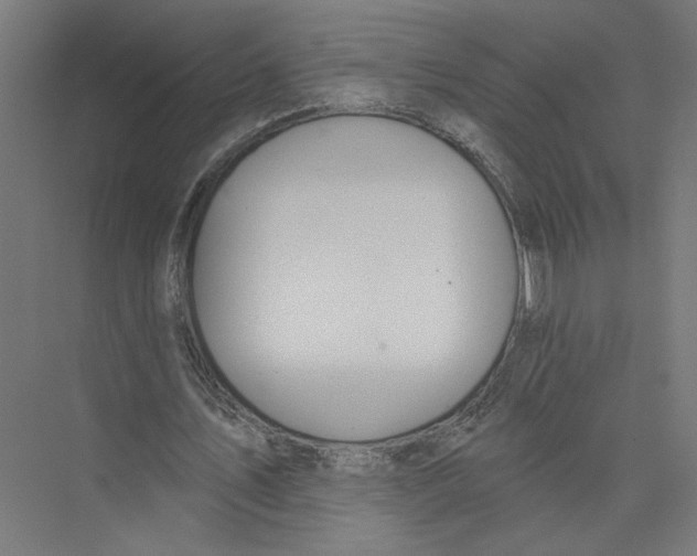 X0000075370579200610061815