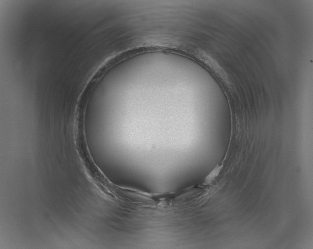 X0000075370580200610061815