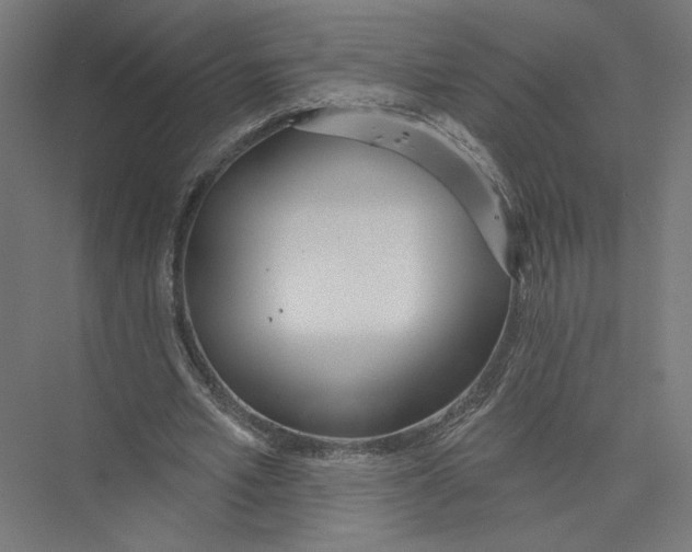 X0000075370581200610061815