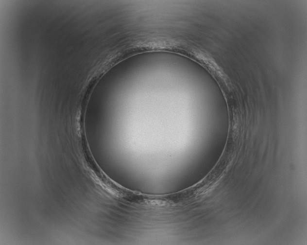 X0000075370585200610061815