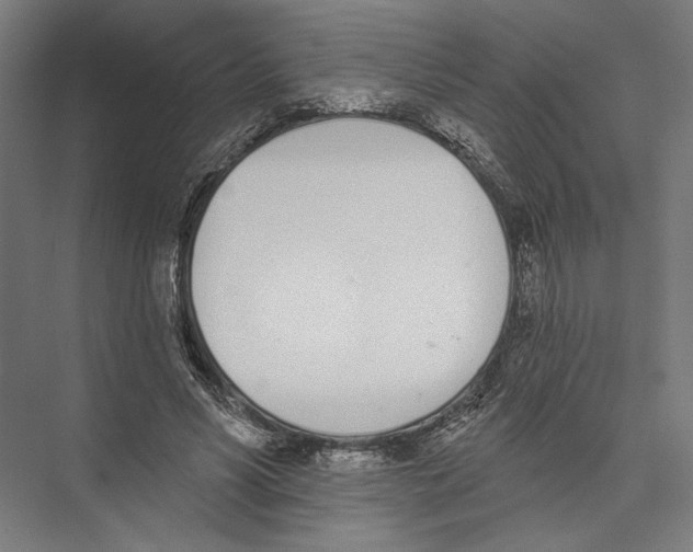 X0000075370590200610061815